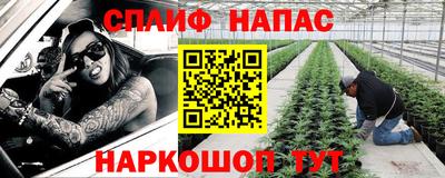 гидра Донецк