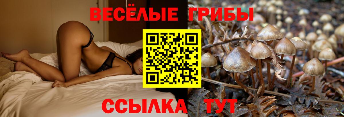 Псилоцибиновые грибы MAGIC MUSHROOMS  Вход с VPN  Красноярск  Псилоцибиновые грибы мицелий 