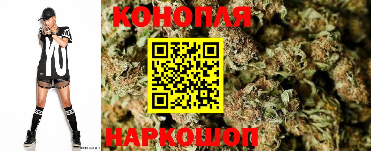 Шишки марихуана семена Красноярск